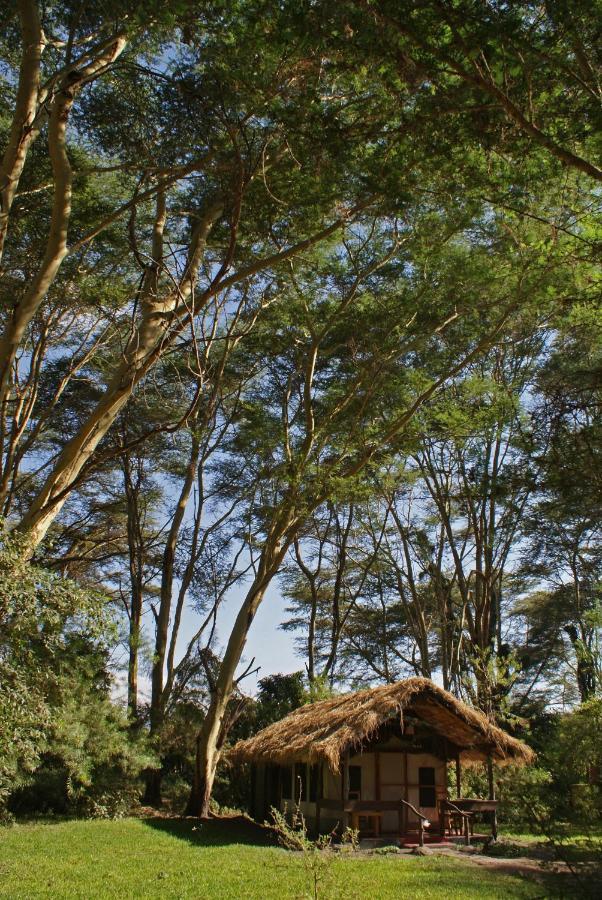 Migunga Tented Camp 음토와음부 외부 사진
